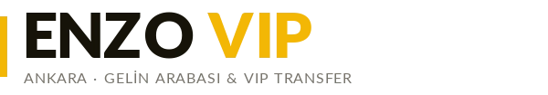 Enzo VIP Logo