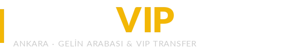 Enzo VIP Logo